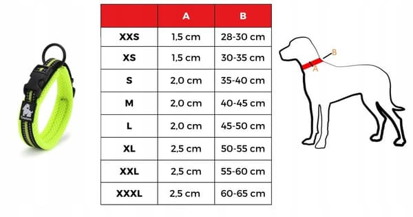 LIME Halsbånd til store hunde LET TRUELOVE 3XL