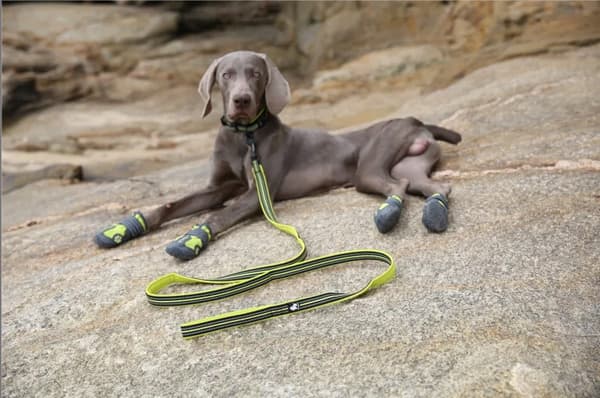 LIME Halsbånd til store hunde LET TRUELOVE 3XL