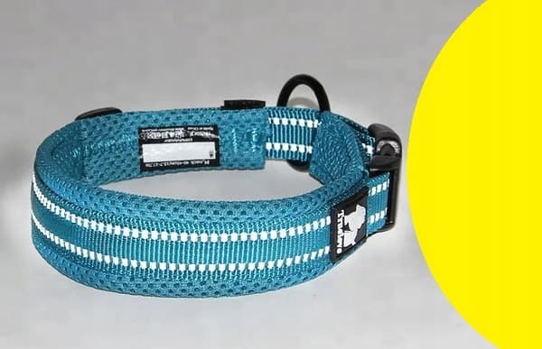 BLÅ Medium Stark Hundhalsband TRUELOVE M