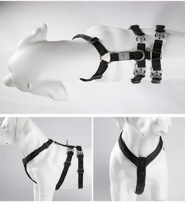 ANTI-ESCAPE sele til hundebeskytter Winhyepet XS