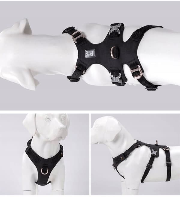 Flugtsikringssele til hunde Winhyepet XS