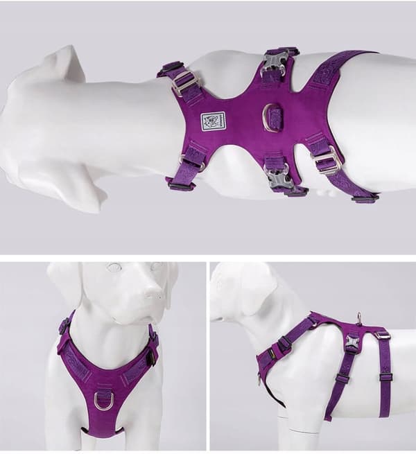 Hundeselebeskytter Winhyepet XS mod flugt