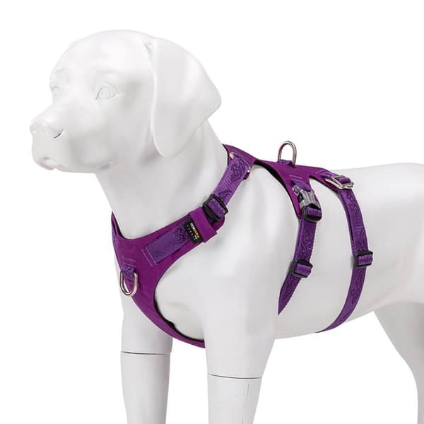 Hundeselebeskytter Winhyepet XS mod flugt