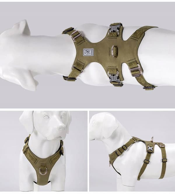 Flugtsikringssele til hunde Winhyepet L