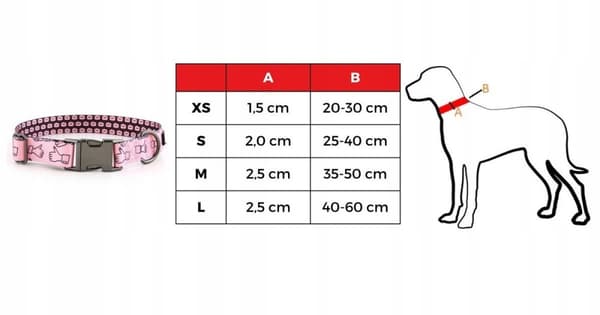 Hundehalsbånd med indgraveret navn og nummer farverig beagle HUGGY DOGGY M