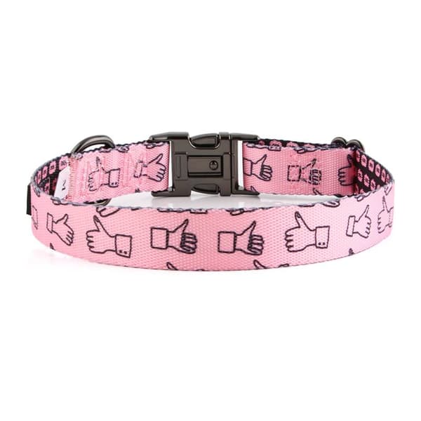 Hundhalsband med namn och nummer för en liten hund, färgglatt HUGGY DOGGY S