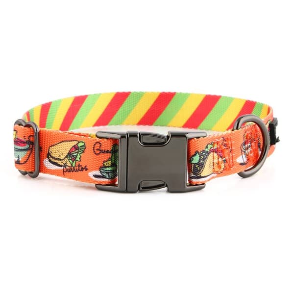 Hundhalsband med namn och telefonnummer färgglad bulldogg HUGGY DOGGY S