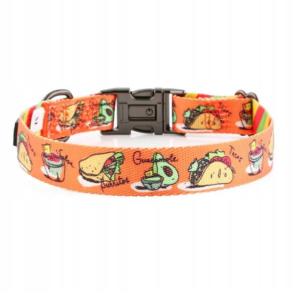 Färgglatt hundhalsband med namn och nummer på en Yorkshire terrier valp HUGGY DOGGY XS