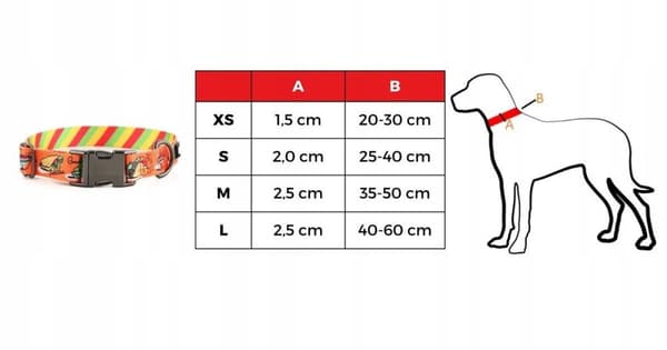 Färgglatt hundhalsband med namn och nummer på en Yorkshire terrier valp HUGGY DOGGY XS