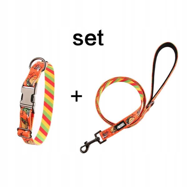 Färgglatt hundhalsband med namn och nummer på en Yorkshire terrier valp HUGGY DOGGY XS