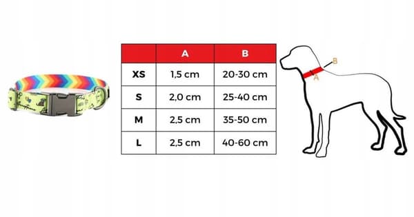 Koiranpanta, johon on kaiverrettu nimi ja numero, värikäs beagle-merkkinen HUGGY DOGGY M