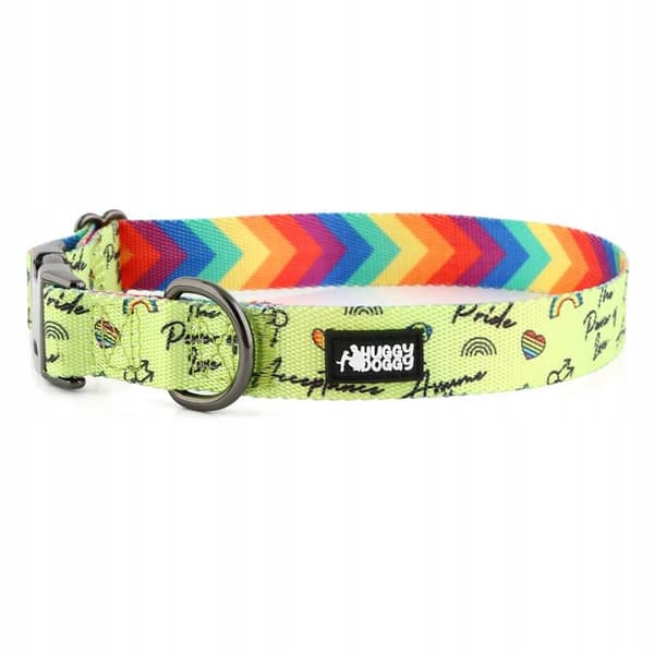 Färgglatt hundhalsband med namn och nummer för en liten hund jack HUGGY DOGGY S