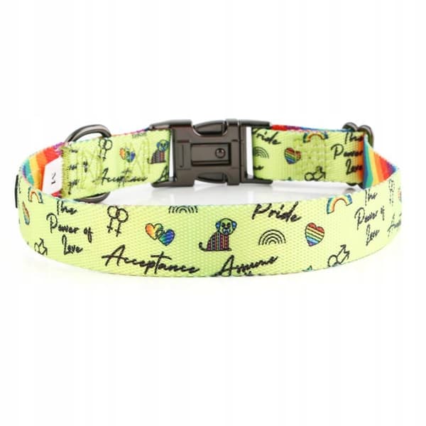 Färgglatt hundhalsband med namn och nummer för en liten hund jack HUGGY DOGGY S
