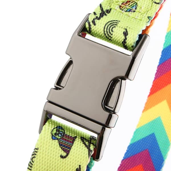 Färgglatt hundhalsband med namn och nummer för en liten hund jack HUGGY DOGGY S