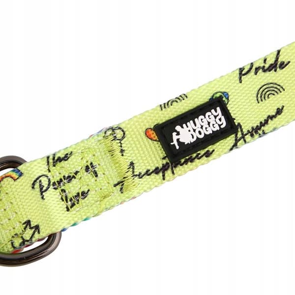 Färgglatt hundhalsband med namn och nummer för en liten hund jack HUGGY DOGGY S