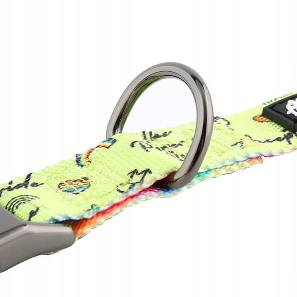 Färgglatt hundhalsband med namn och nummer för en liten hund jack HUGGY DOGGY S