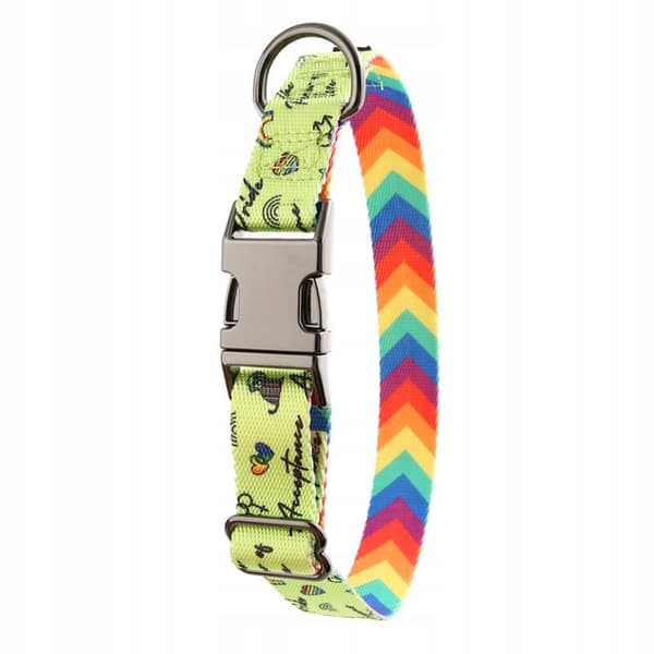 Färgglatt hundhalsband med namn och nummer för en liten hund jack HUGGY DOGGY S