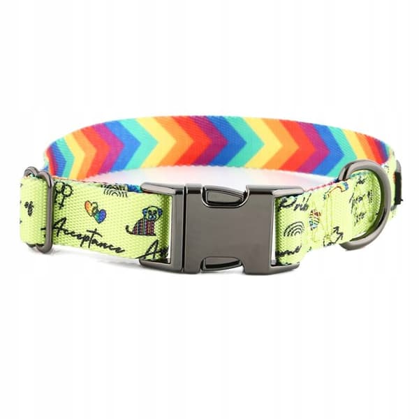 Färgglatt hundhalsband med namn och nummer för en liten hund jack HUGGY DOGGY S