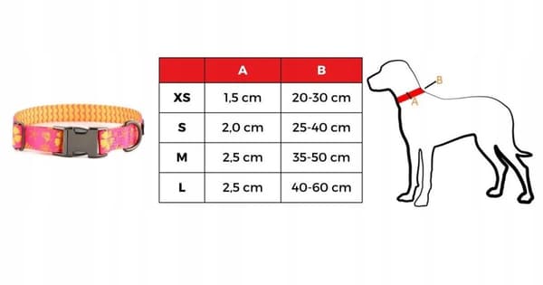 Hundehalsbånd med navn og telefonnummer Malteser York Chihuahua XS