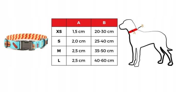 Hundhalsband med namn och telefonnummer Jack Russell terrier bulldogg S