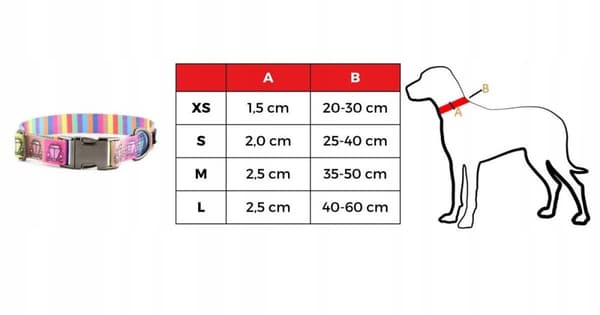 Hundehalsbånd med navn og telefonnummer Labrador Golden Retriever L