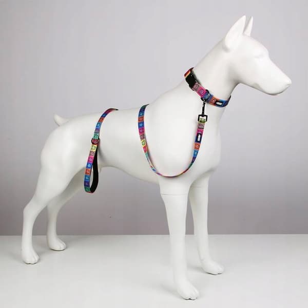 Koiran talutushihna lyhyt 1,5 m värillinen saksanpaimenkoira HUGGY DOGGY L