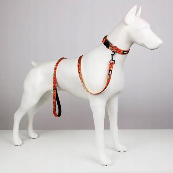 Hundkoppel kort 1,5m färgglad fransk bulldogg pudel HUGGY DOGGY M