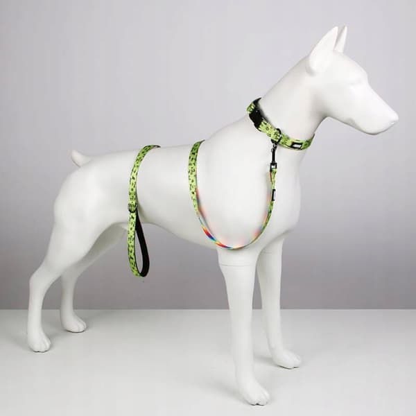 Hundesnor kort 1,5m farverig stærk Jack Russell terrier HUGGY DOGGY M