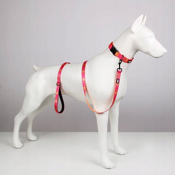 Hundesnor kort 1,5m farverig by Malteserpuddel HUGGY DOGGY S