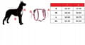 Miniatyrbild 6 av 11: Vakthundssele, tryckfri, färgglad, boxer, bullterrier, HUGGY DOGGY L