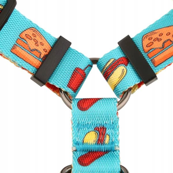 Hundseleskydd färgglatt tryckfritt valpfodral HUGGY DOGGY S