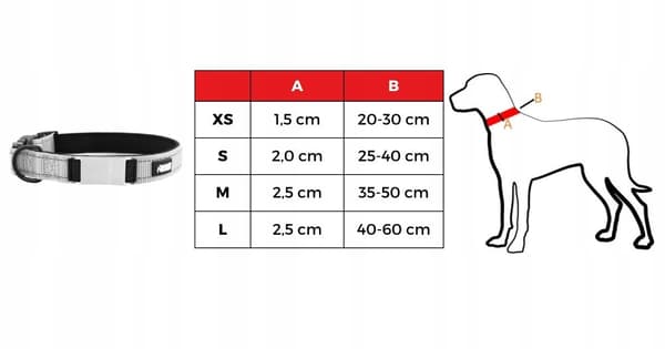 HUGGY DOGGY halsband för valp med gravyr av namn och telefonnummer XS