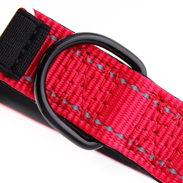 HUGGY DOGGY halsband för valp med gravyr av namn och telefonnummer XS