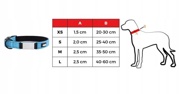 HUGGY DOGGY halsband för en yorkievalp med namn och telefonnummer XS