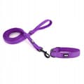 Miniatyrbild 3 av 8: HUGGY DOGGY halsband för shih tzu hund JUSTERBART lätt spänne SOLID S