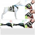 Miniatyrbild 11 av 11: HUGGY DOGGY tryckfri sele för bulldoggar, justerbar, skydd easy walk M