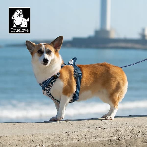 LET TRUELOVE PREMIUM XS hundebeskyttersele