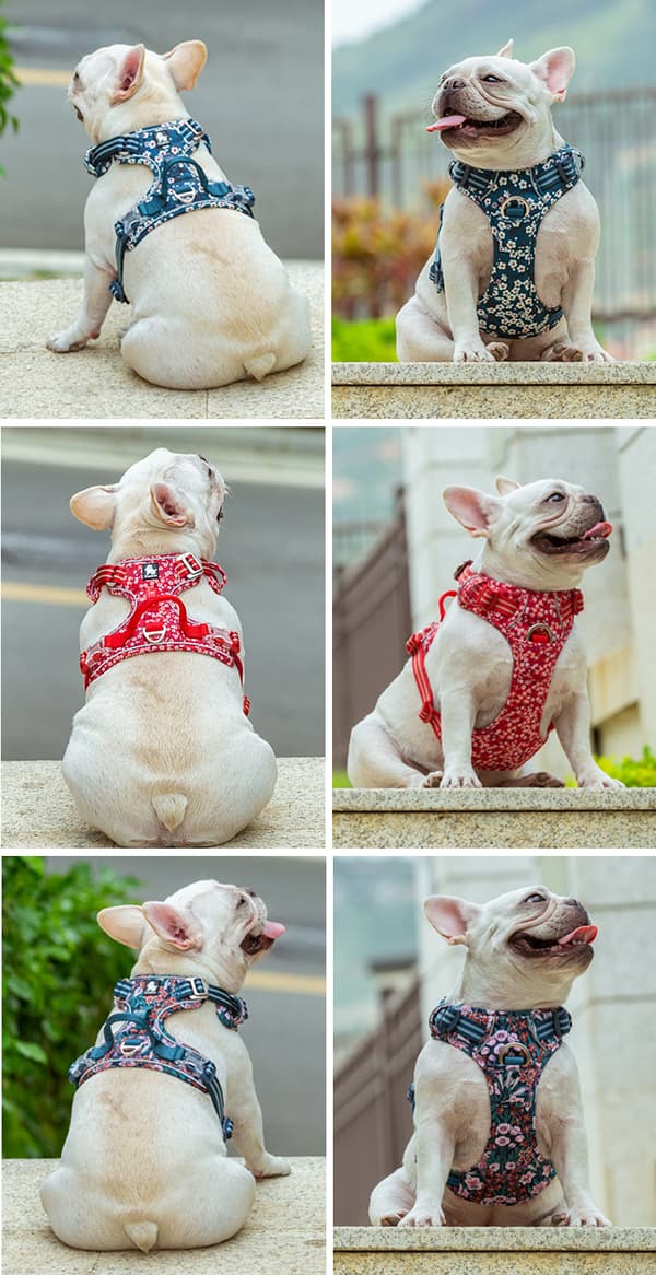 LET TRUELOVE PREMIUM XS hundebeskyttersele