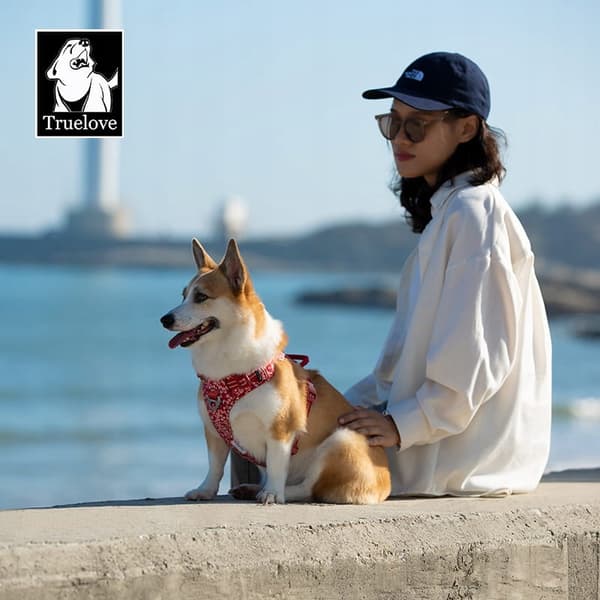 LET TRUELOVE PREMIUM XS hundebeskyttersele