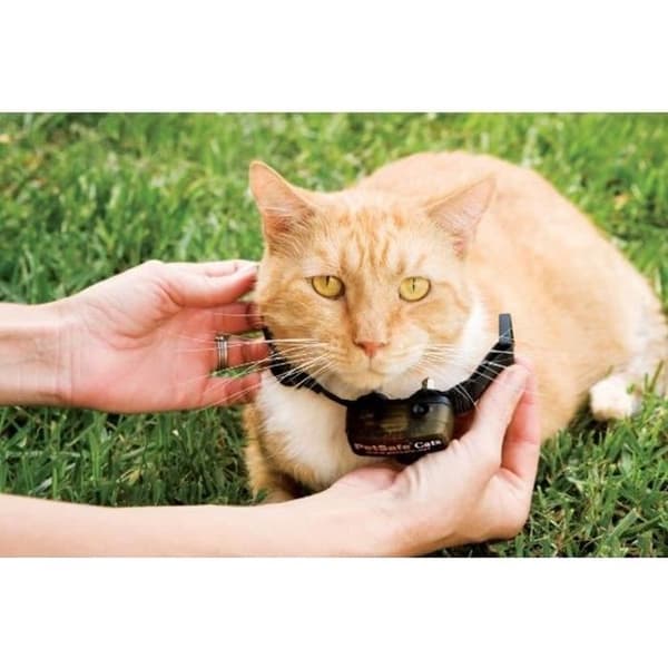 PetSafe - Extra halsband för anti-fugu kattstängsel, 4 stimuleringsnivåer, lätt, justerbar och anti-choke, batteridriven