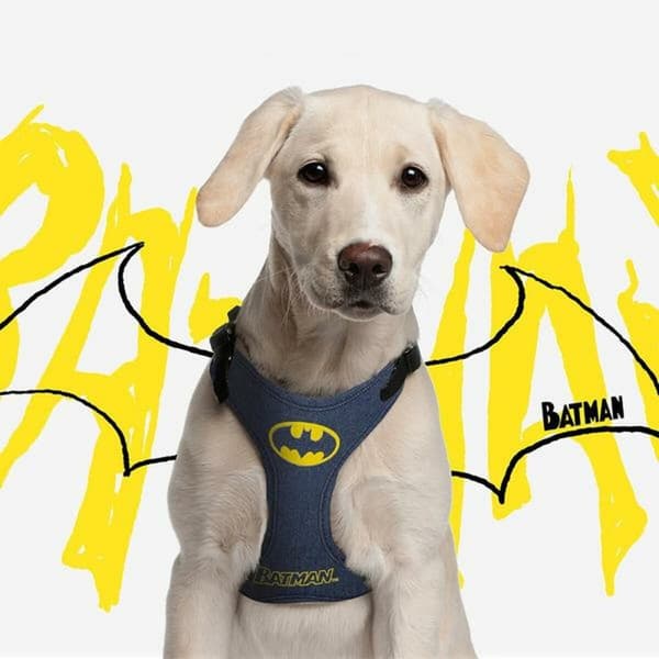 Hundsele Batman Blå