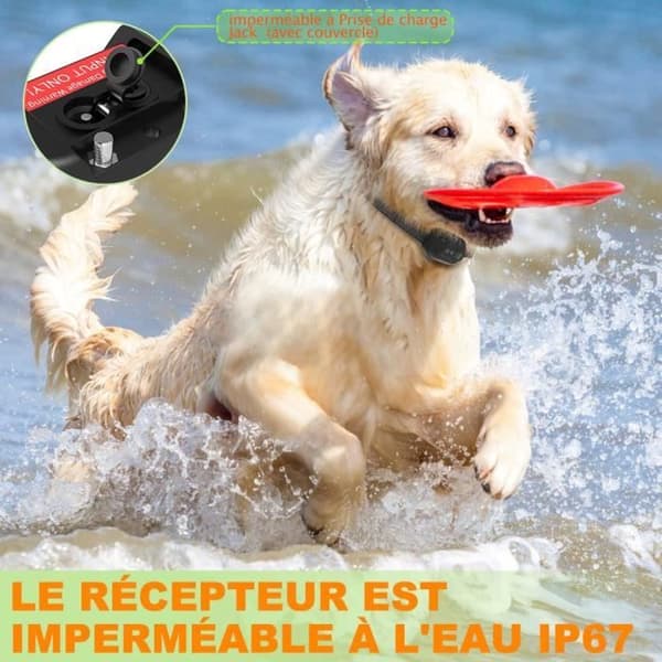 Anti Bark Hundhalsband, uppladdningsbart, IP67 vattenbeständigt och intelligent Bark Detection Vibration Halsband/Svart