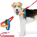 Miniatyrbillede 2 af 2: Hundesele, Justerbar Størrelse M, Komfortabelt og Stilfuldt Design,15.7-20.9 Chroma Rød