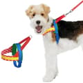 Miniatyrbillede 1 af 2: Hundesele, Justerbar Størrelse M, Komfortabelt og Stilfuldt Design,15.7-20.9 Chroma Rød