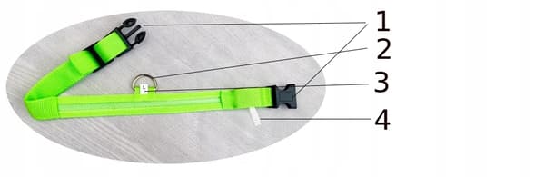 HUNDAR LED Husdjurshalsband Vattentät USB-kabel GRÖN XL 52-60cm