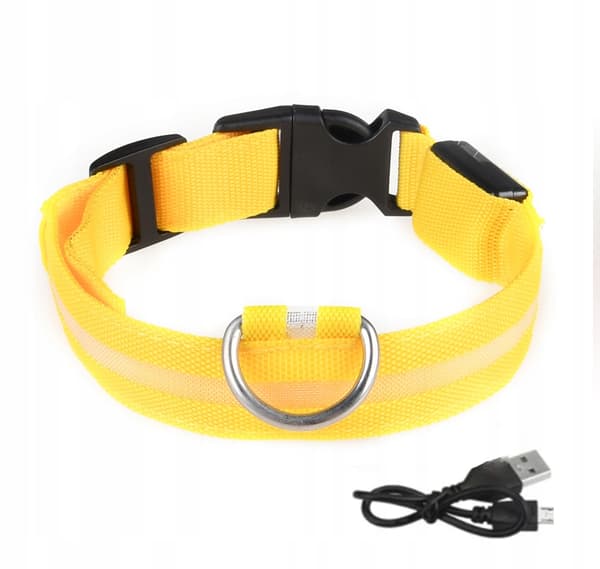 HUNDAR LED Vattentätt Husdjurshalsband USB-kabel GUL XL 52-60cm