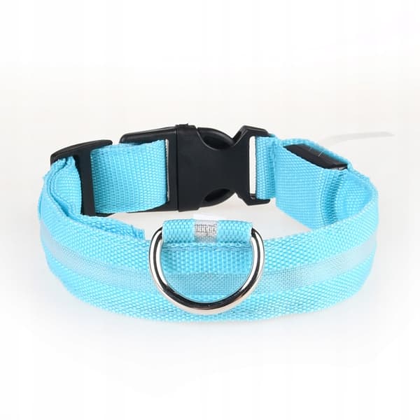 HUNDAR LED Husdjurshalsband Vattentät USB-kabel BLÅ XL 52-60cm