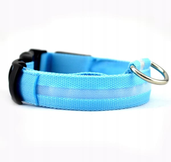 HUNDAR LED Husdjurshalsband Vattentät USB-kabel BLÅ XL 52-60cm