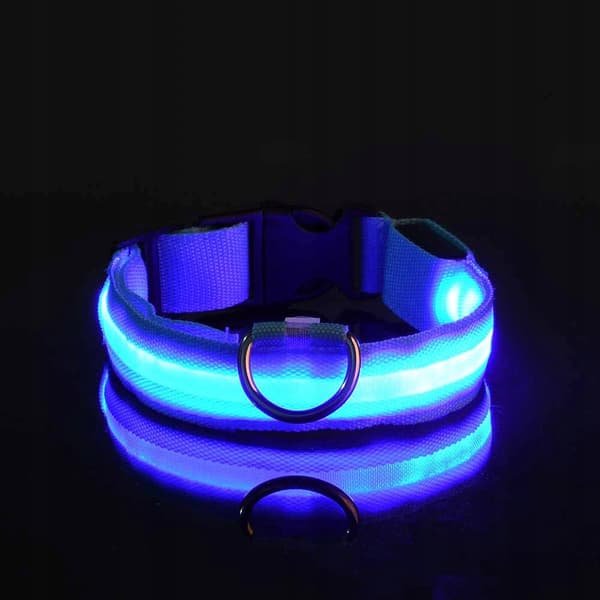 HUNDAR LED Husdjurshalsband Vattentät USB-kabel BLÅ XL 52-60cm