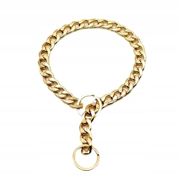 Hundhalsband GULD Förgylld metall storlek XL